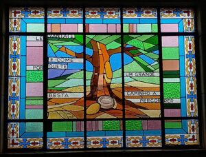 IMG 20260224 100344005