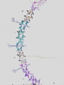 Desenho Vitrais Coroa de Espinhos3