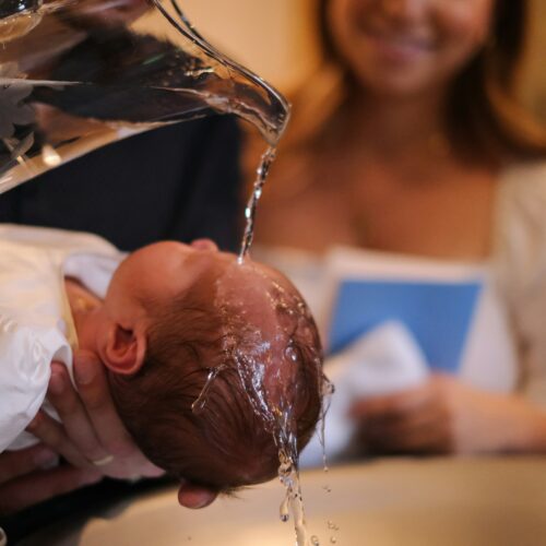 julia michelle LQEk8okbEOw unsplash